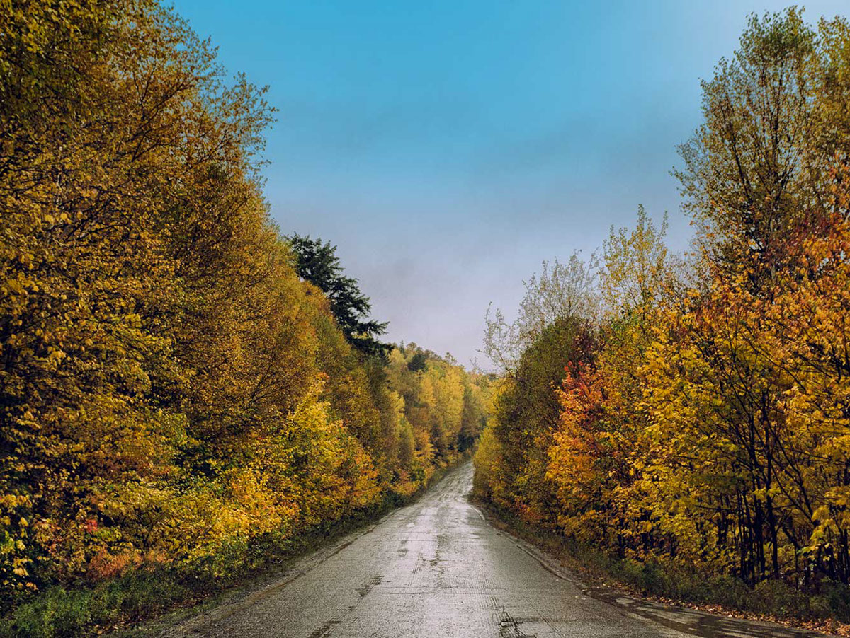 Adobe Portfolio Maine me golden road millinocket logging foliage fall colors Fall Foliage