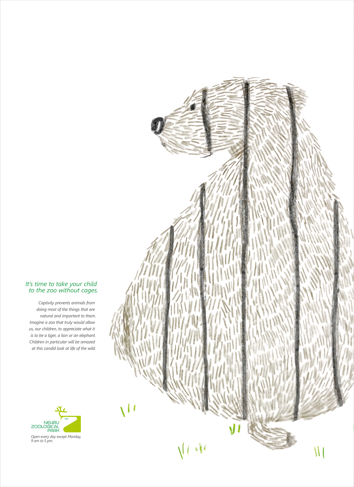zoo zoo ads nehru zoological Park Kids illustrations