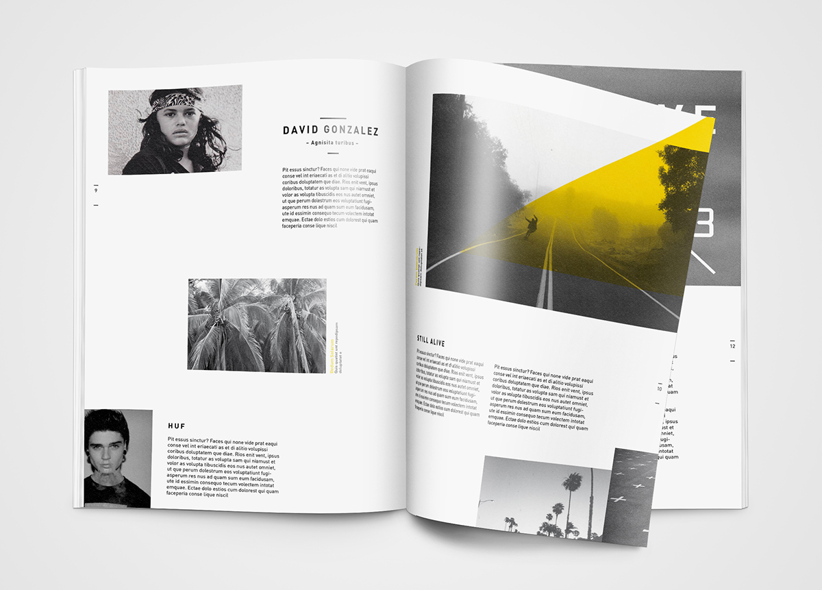magazine grind Layout skate yellow black bw Robert Gutmann Tim Kaun Corporate Design brand