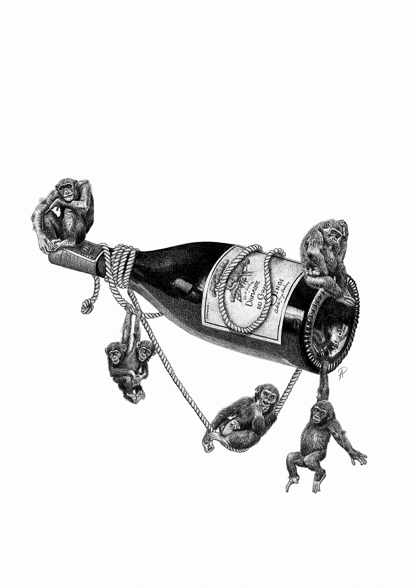 ape monkey canson wine bottle singe singerie paper graphite crayon Red wine