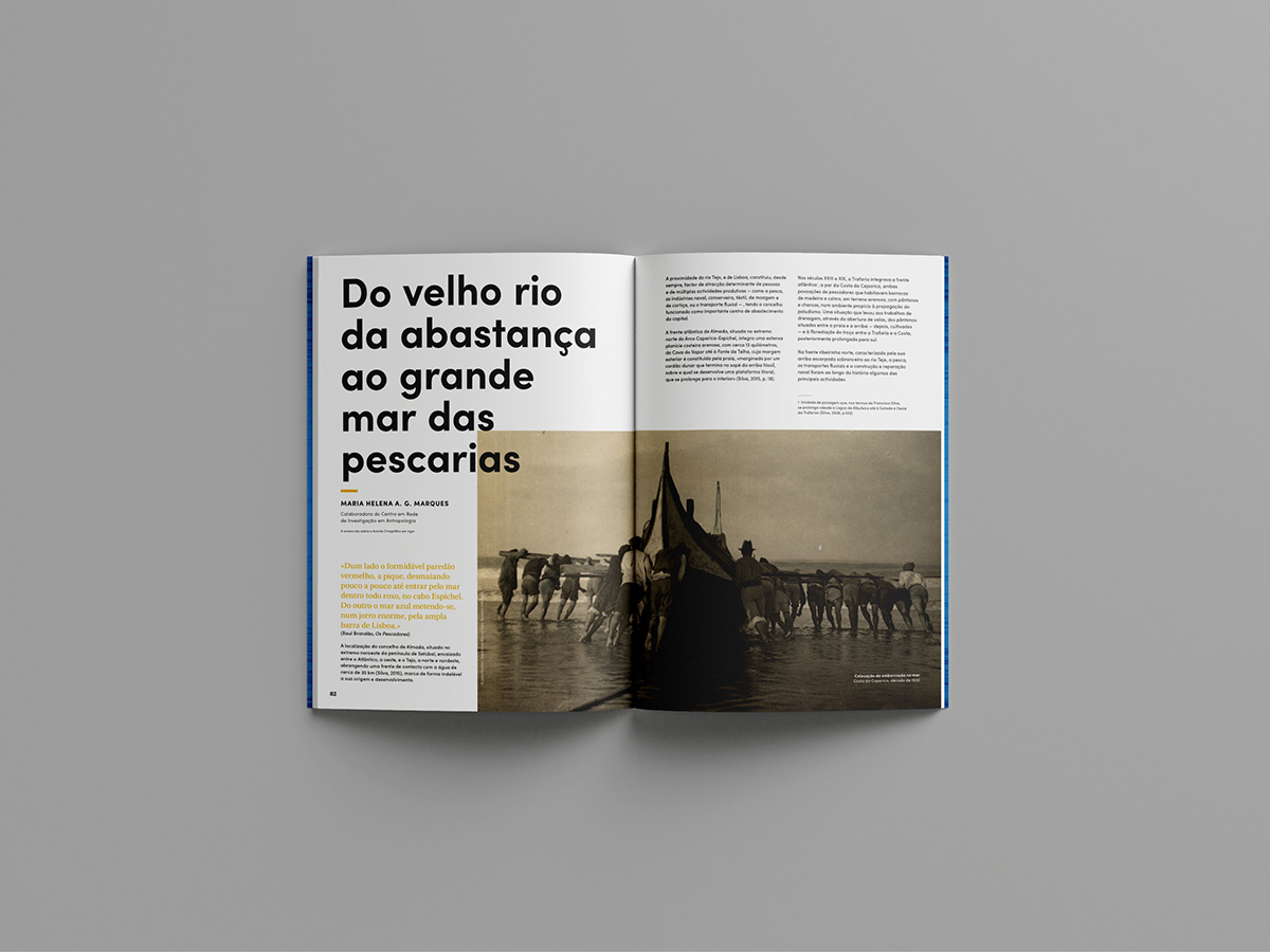 book Catalogue editorial editorial design  graphic design 