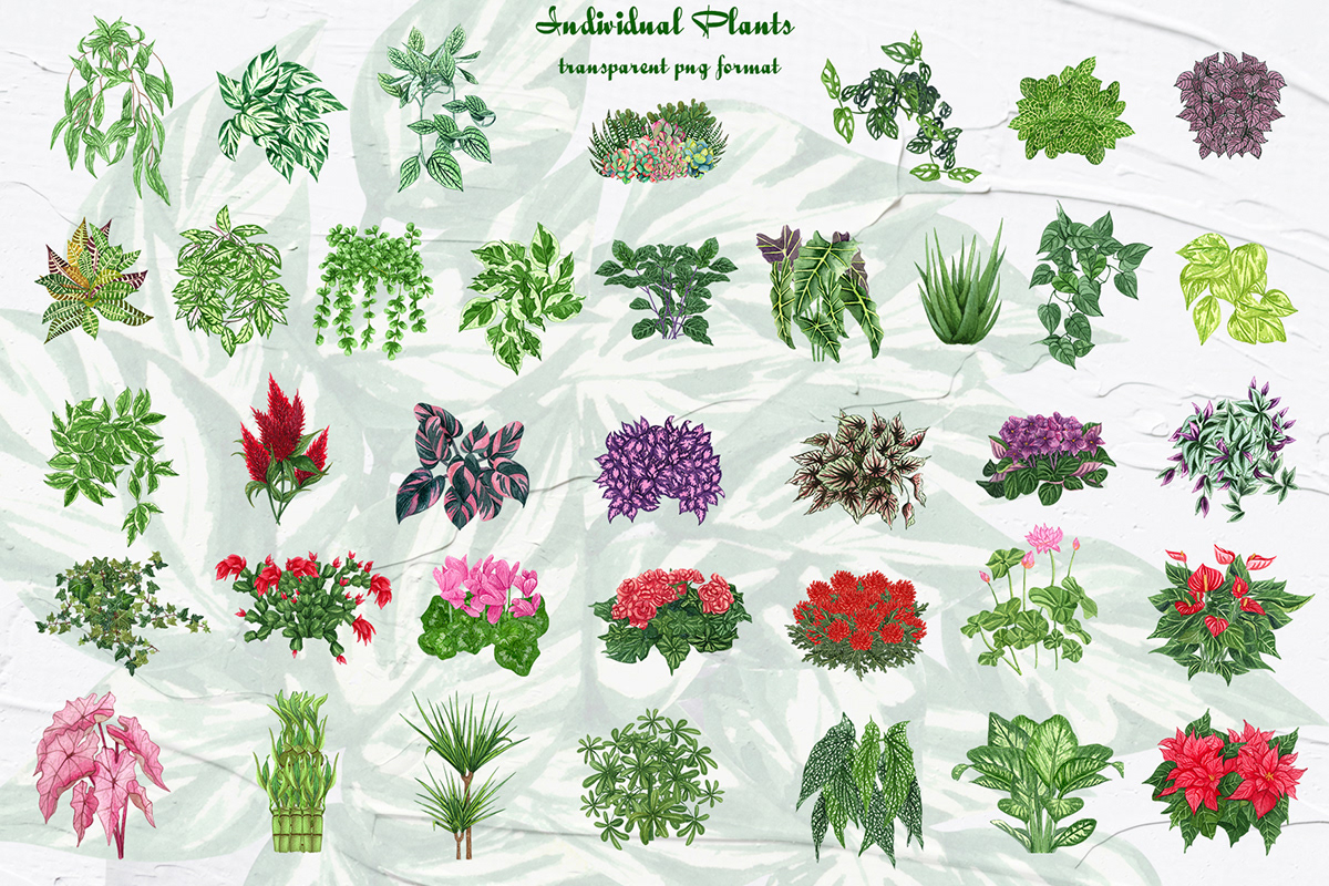 botanical flower Houseplant illustration houseplants pattern Plant plant illustrations plant lovers seamless watercolor