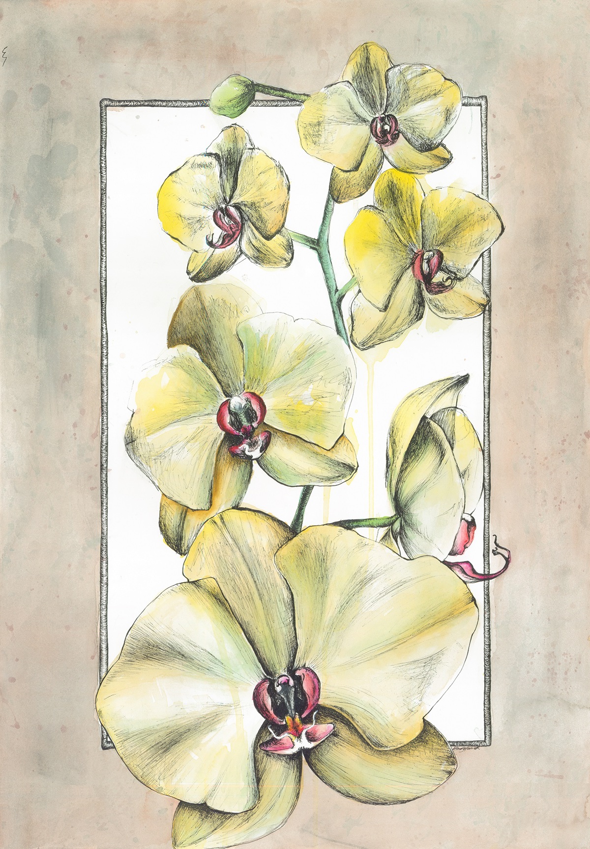 orchid iris oil crayon ink