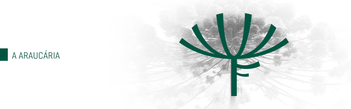 design design gráfico football futebol logo Logo Design rebranding soccer Sports Design visual identity Adobe Portfolio