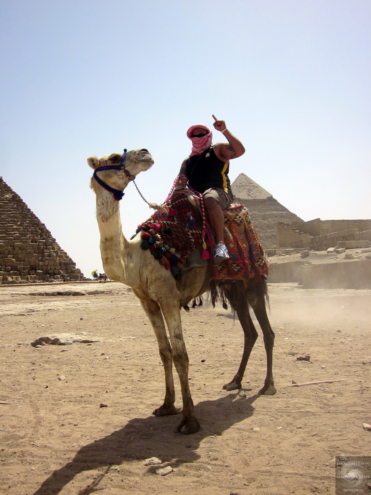 Travel explore egypt outside
