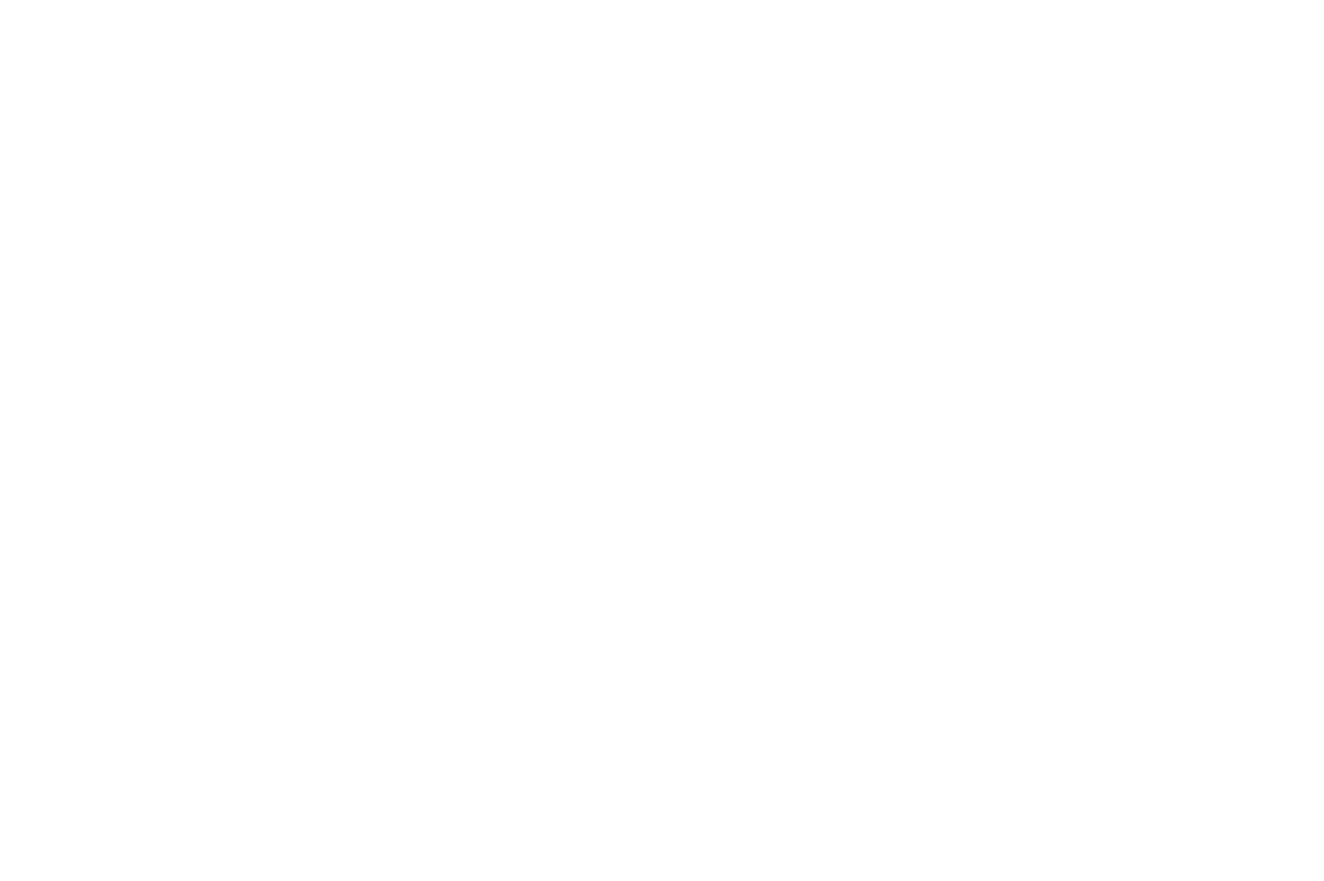 Owlpacks Logo Design identity
