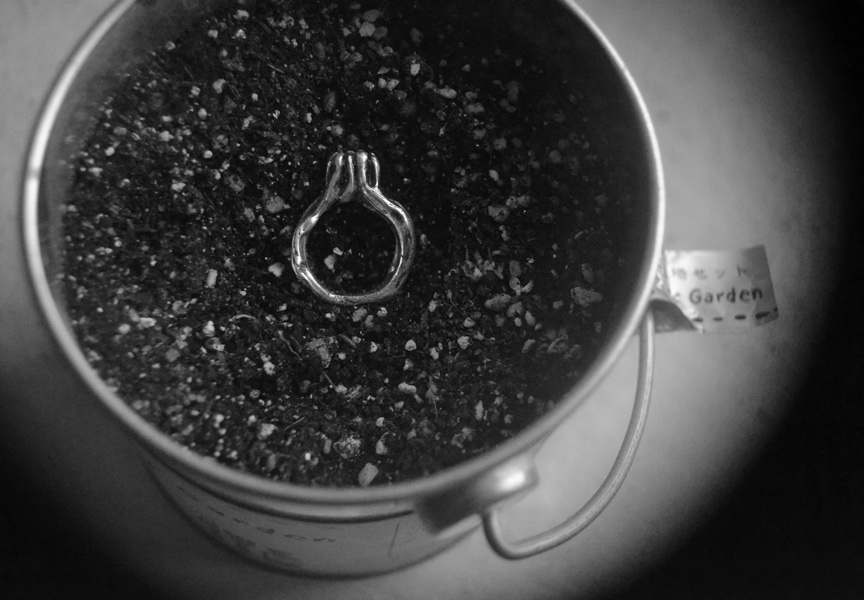 ring Jewellery silver jewelry roots sprout