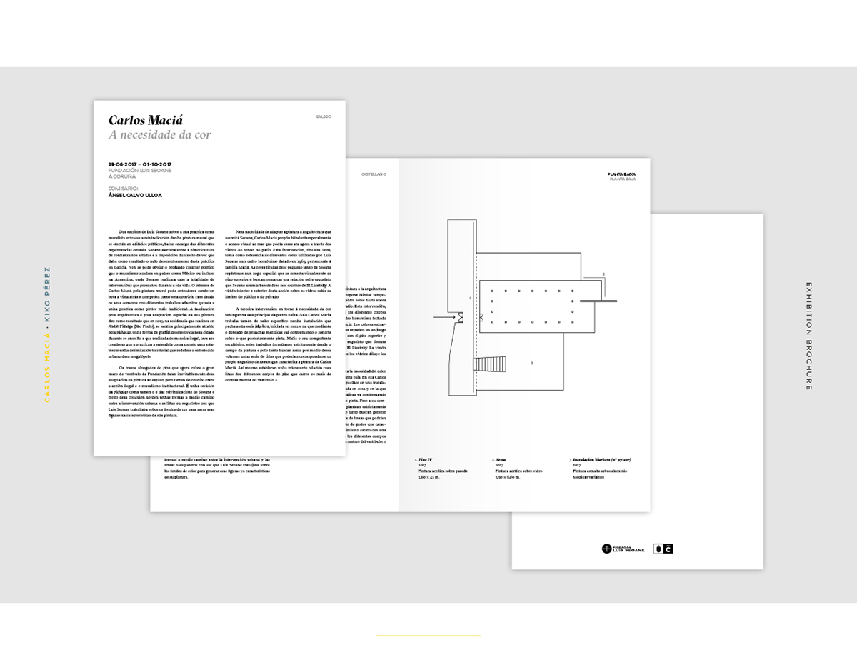 graphic design  editorial design  art Art Exhibition brochure Exhibition Brochure visual design