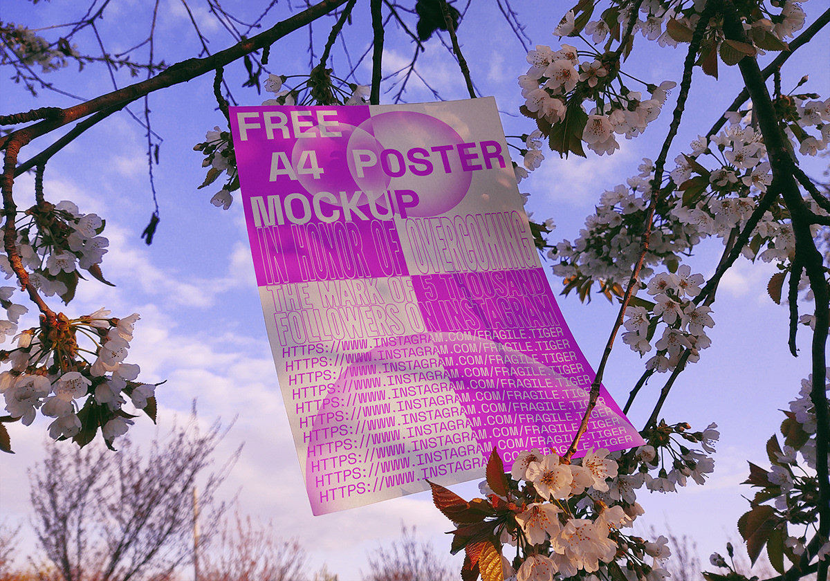 bloom blossom download flower free Mockup Outdoor plakat poster spring