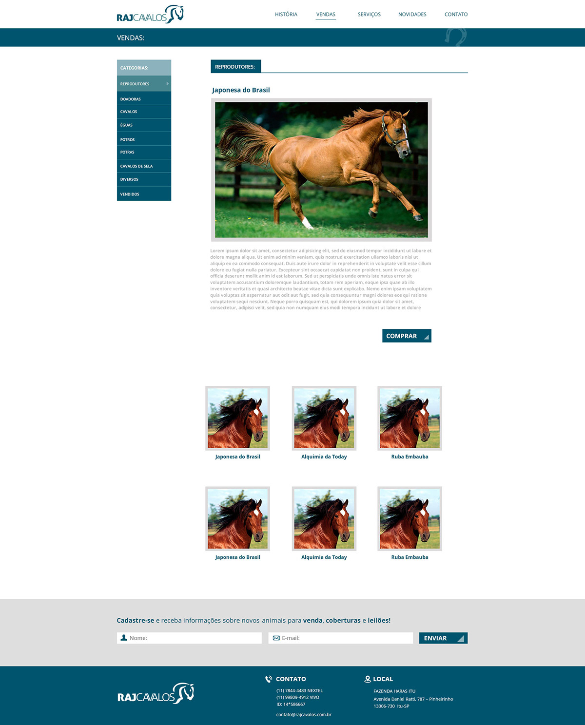 Website horse