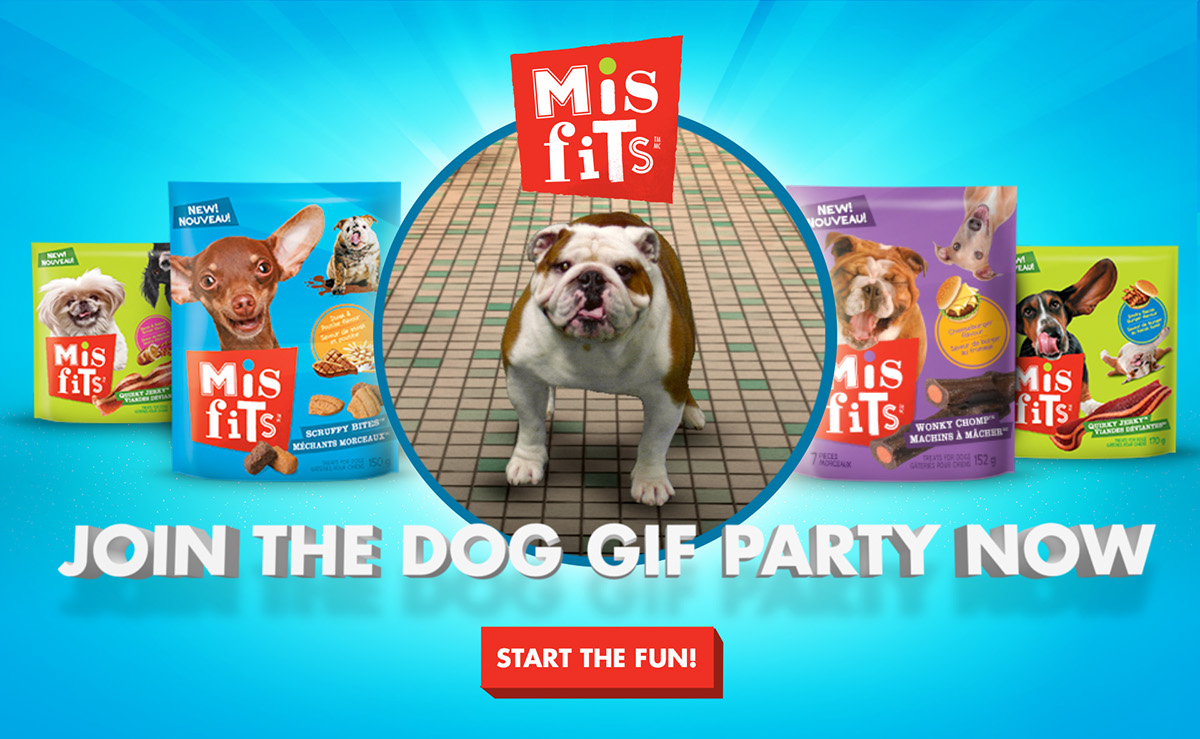 misfits Misfits Dog Treats Proximity Canada Digital Advertising Online Advertising pet food gifs gif dog gif