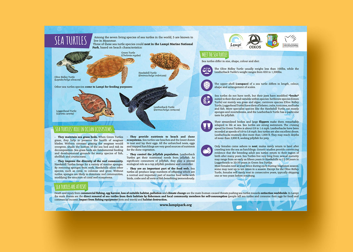 Lampi myanmar educational panels illustrations Nature marine Park sea Turtles 