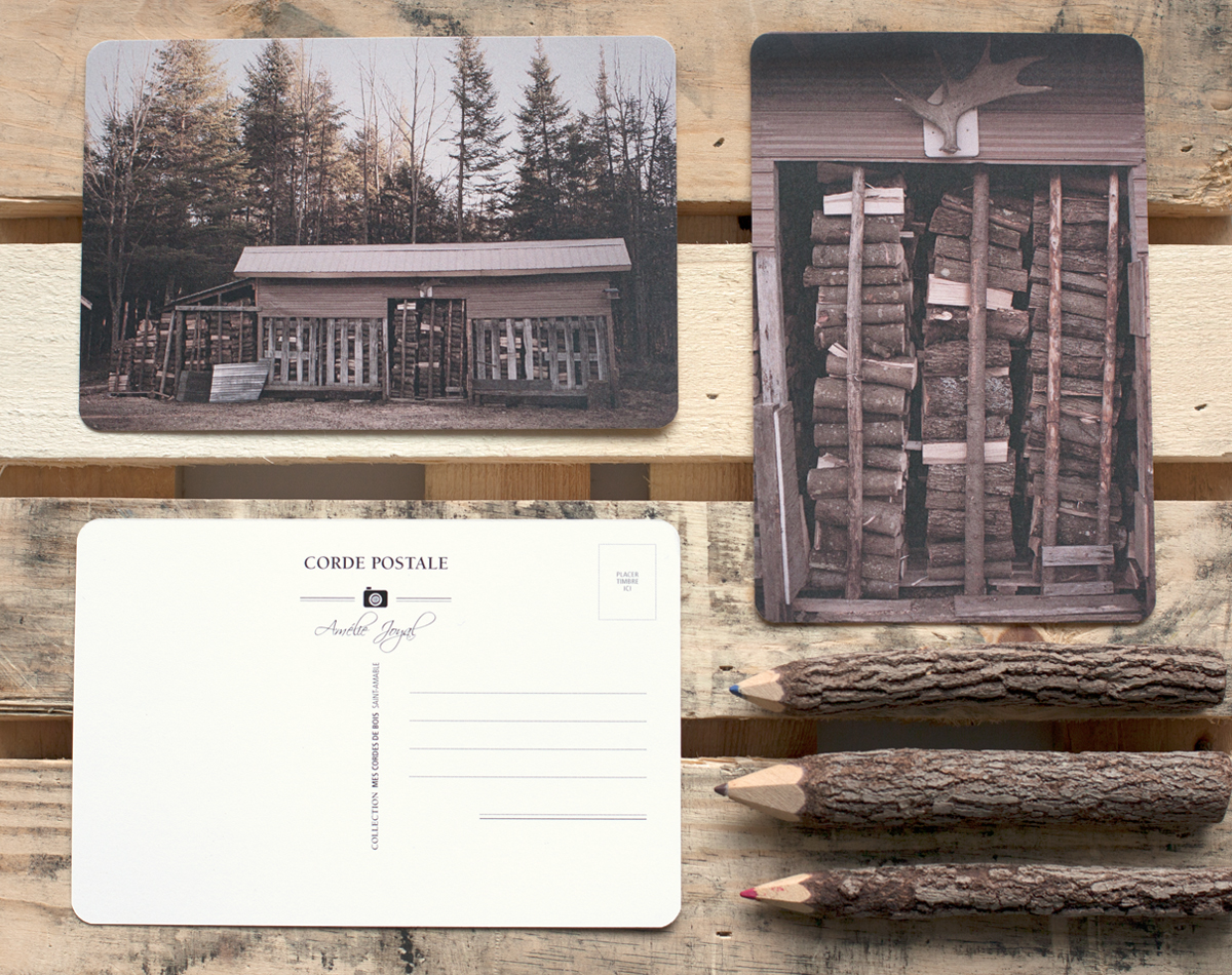 photographer wood trees identity postal card forest Montreal Canada wilderness Nature Outdoor
