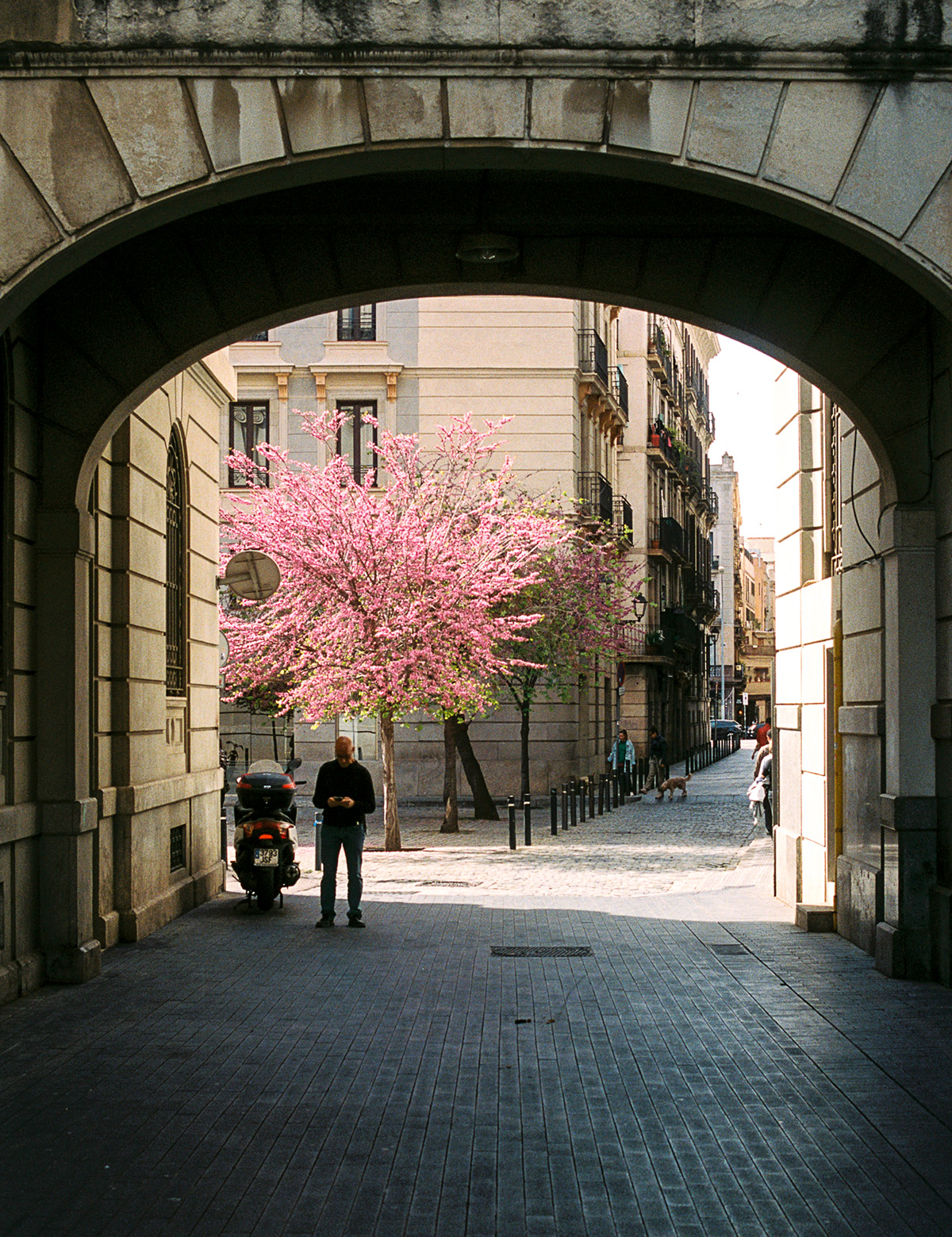 film photography 35mm photographer barcelona lifestyle street photography