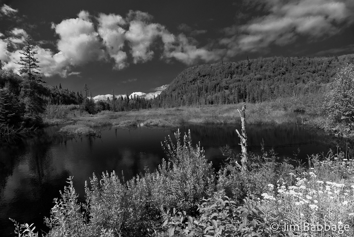 greyscale grayscale black and white Landscape scenic