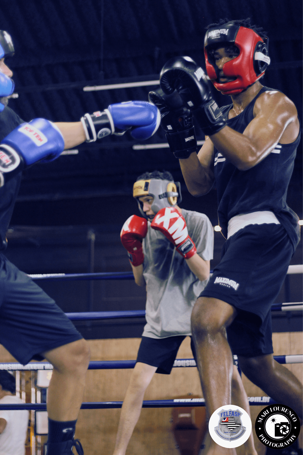 Fotografia Photography  Boxe sport esports treino jiu jitsu muay thai Martial Arts figth