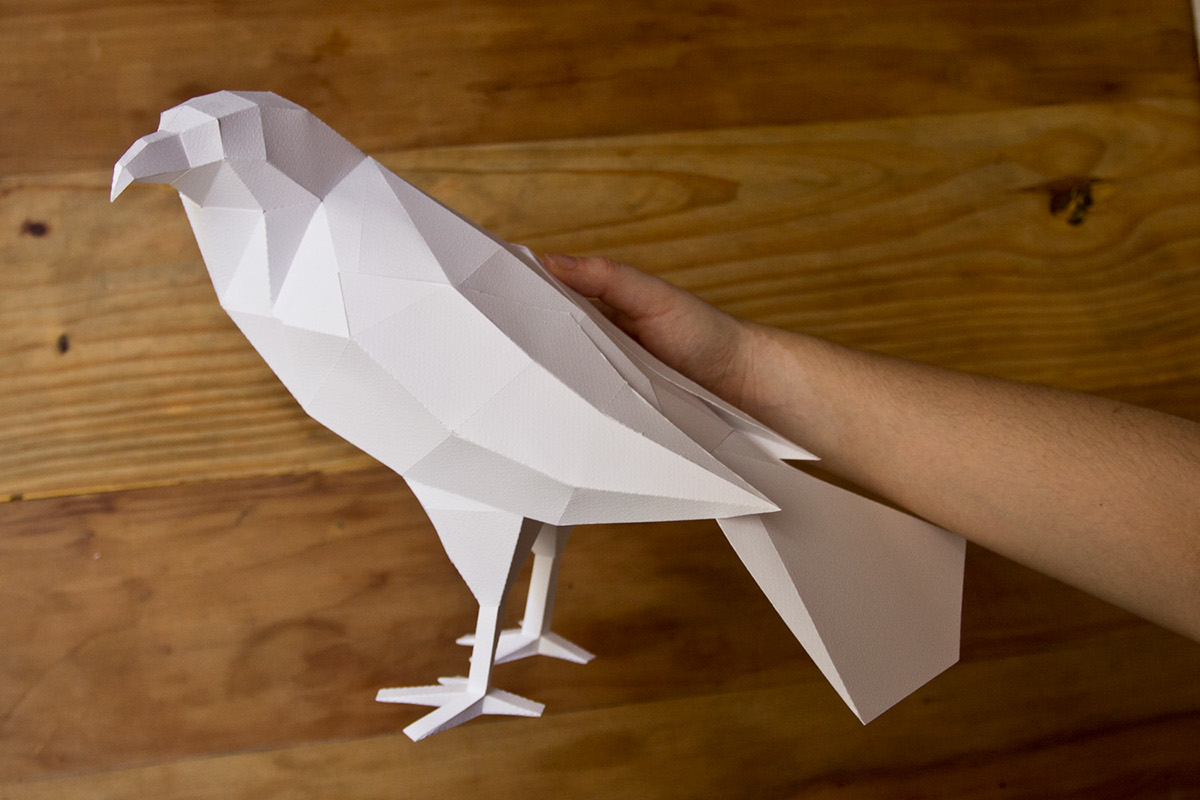 paper aviary paper birds st james dn&co aves papel Collaboration London Exhibition 