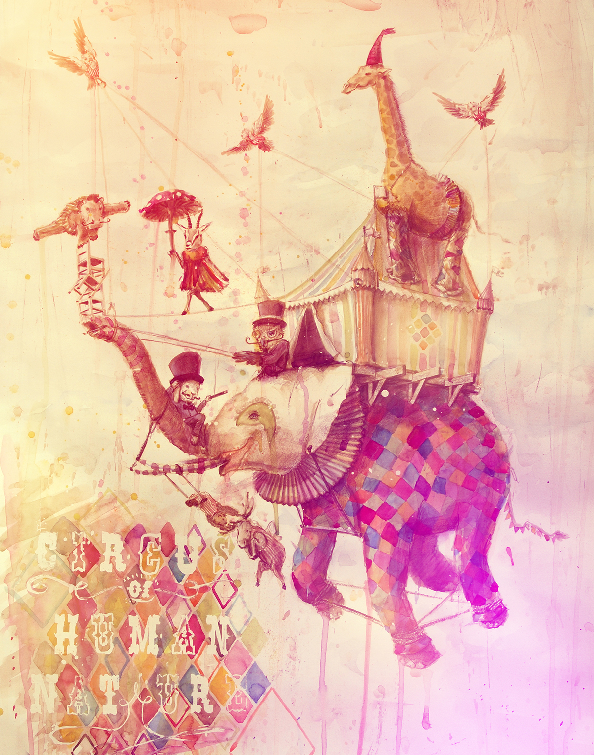 shkicaz  duper  grafilogika  Marija  Watercolors  saule dramblys  elephant animal  Circus  Trip
