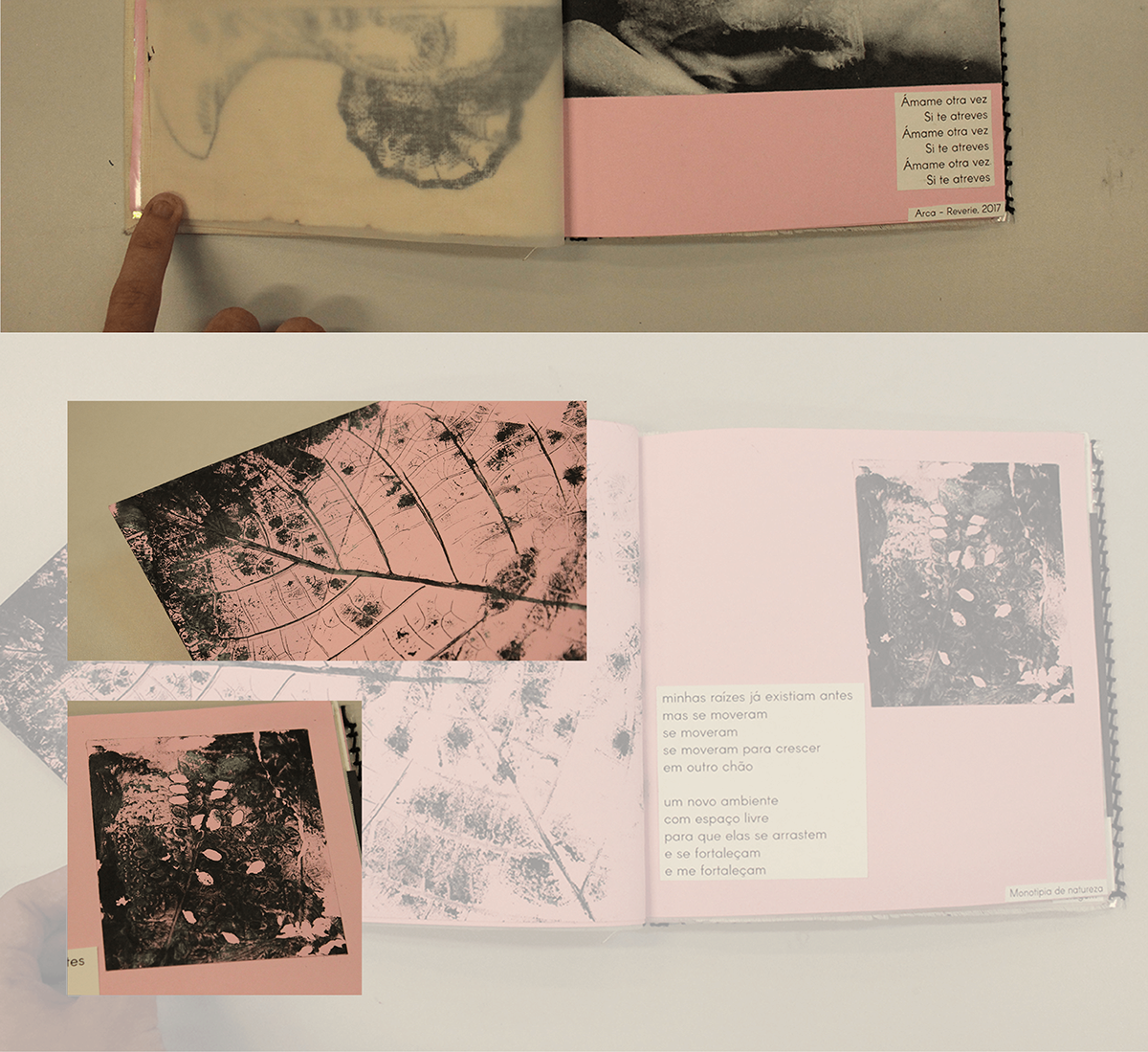 livro objeto design editorial design gráfico mitoze serigrafia xilogravura Ilustração artesanal book jaqueta