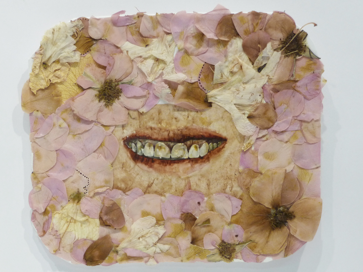 teeth tooth Mouth butterfly watercolor velvet Embroidery Flowers Nature