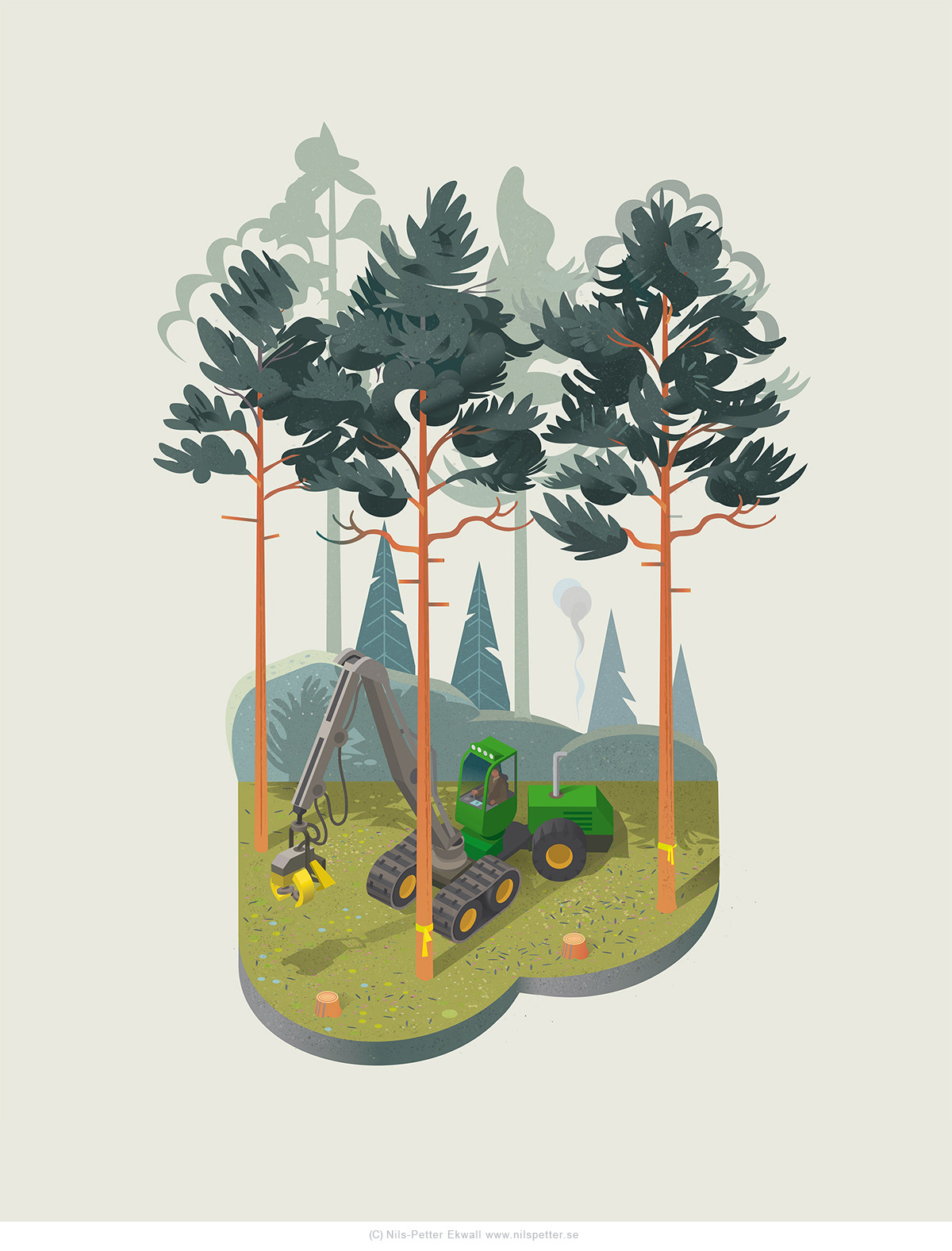 forest Outdoor Landscape infographic poster school editorial trees Nature vector
