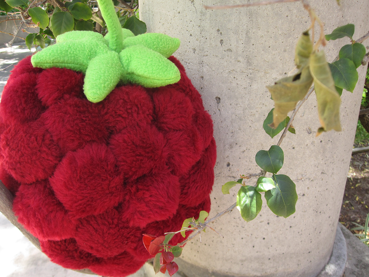 stuffed  Fruit  raspberry  Giant oversized  softies  stuffies  soft sculpture  fabric sculpture  fake fruit