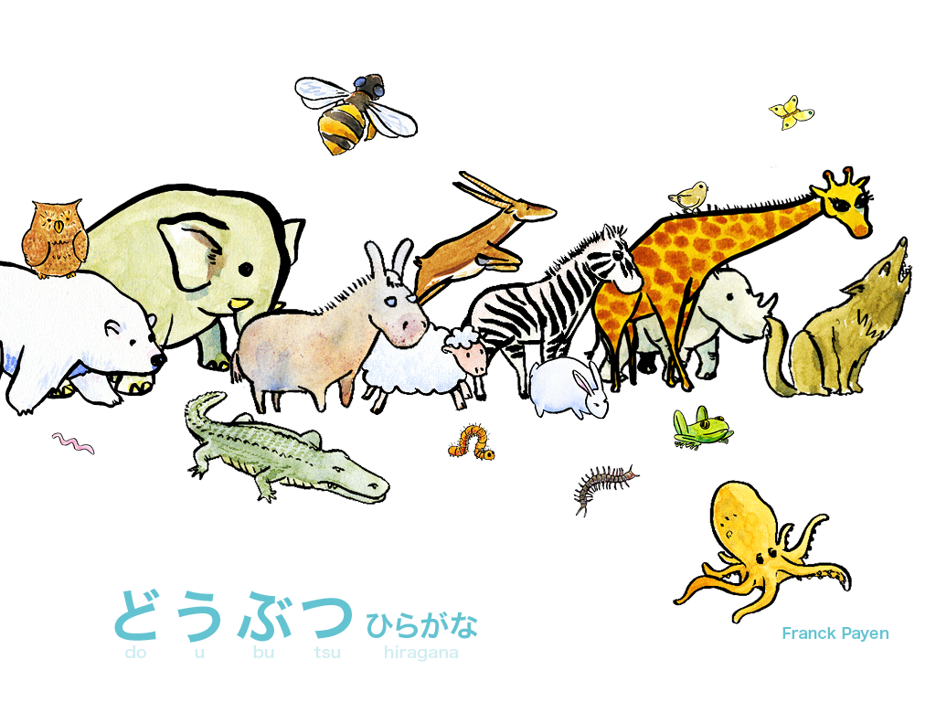 animals language kids Wordbook colors