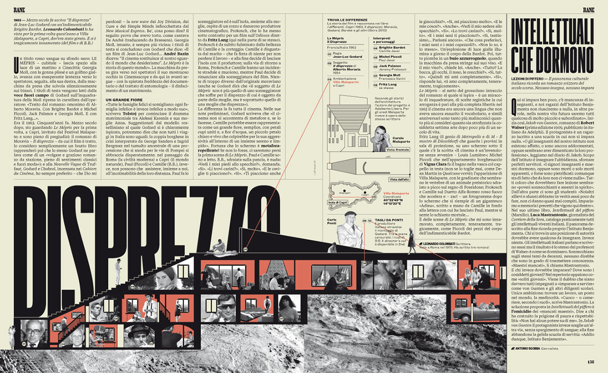 Il il magazine rane editorial infographic collage magazine Magazine design