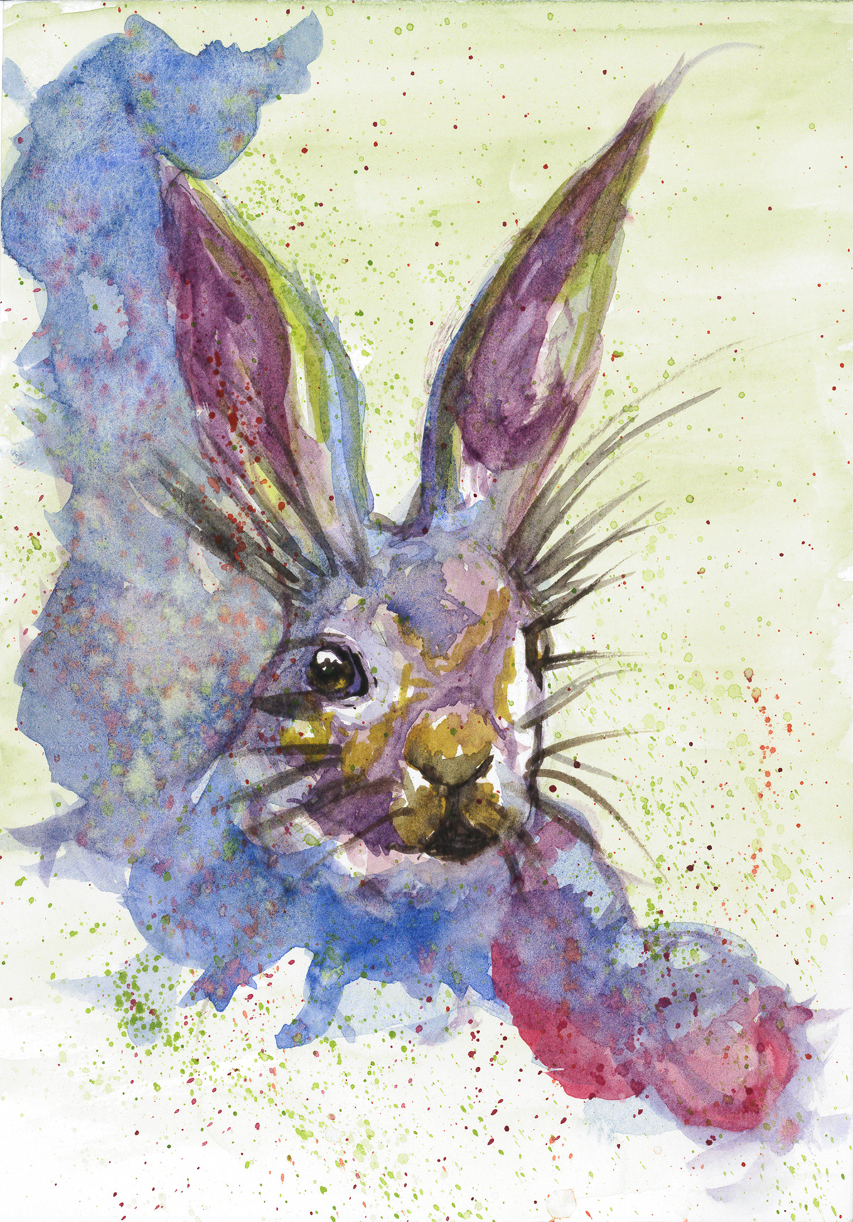 rabbit watercolour Drawing  sketch