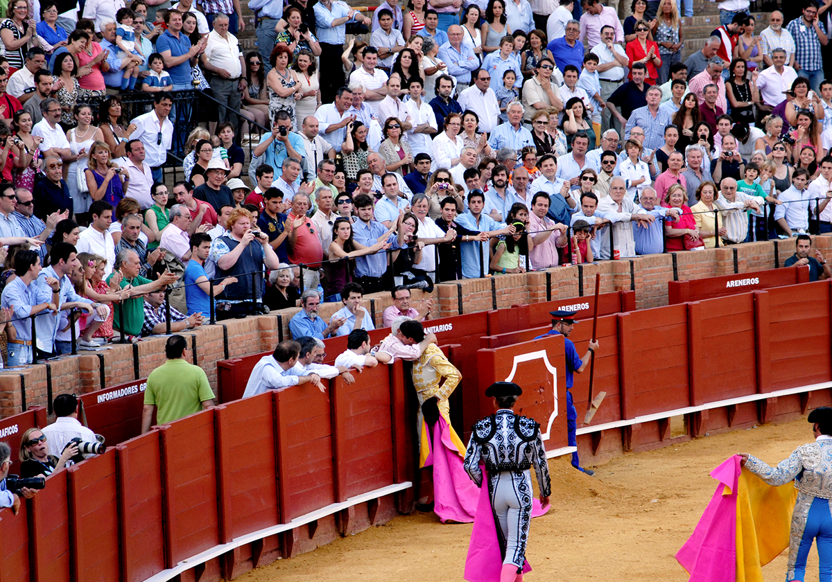 #Spain #Madrid #Bull #fighting #tradition #culture #photojournalism #cruelty #animals