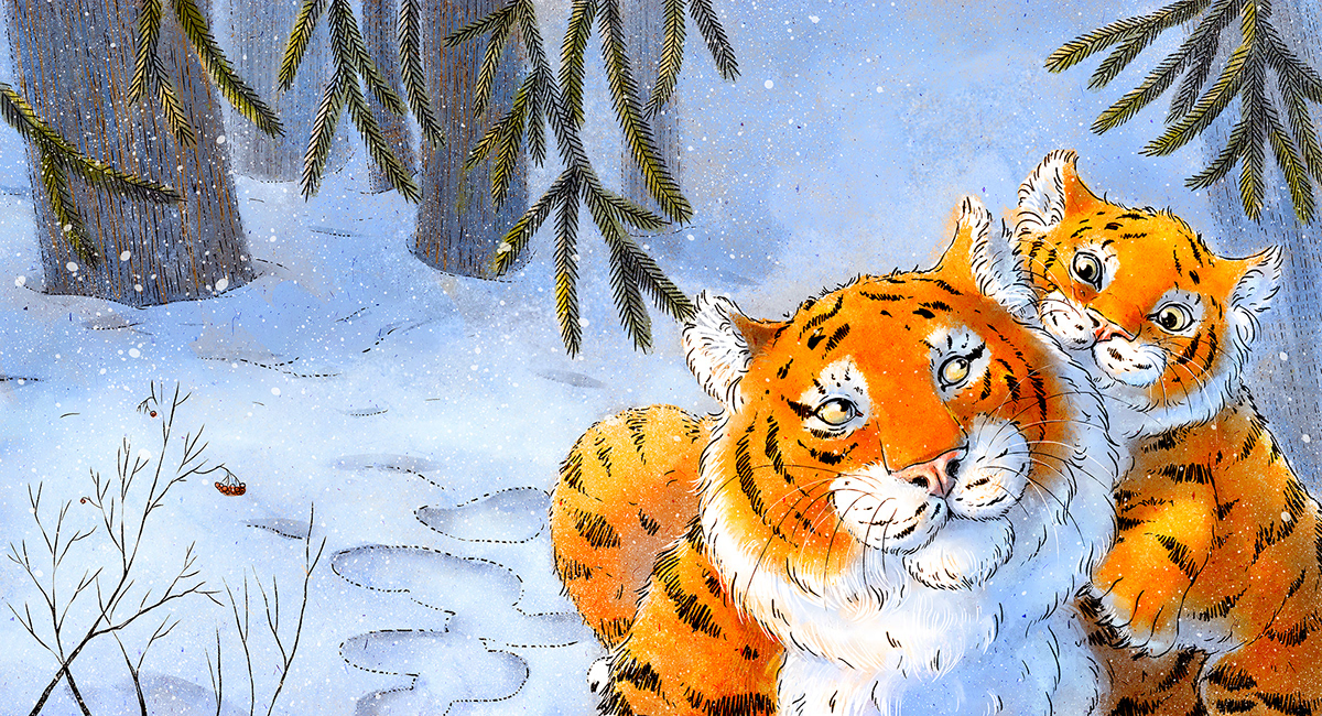 children's book ILLUSTRATION  tiger