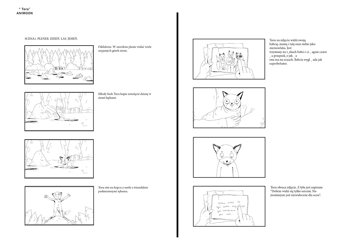 storyboard ant