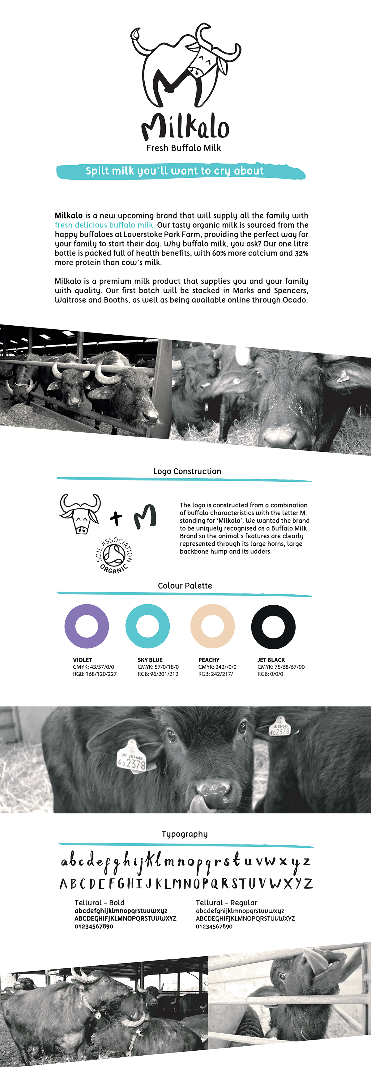 Buffalo milk brand cows farming organic natural product
