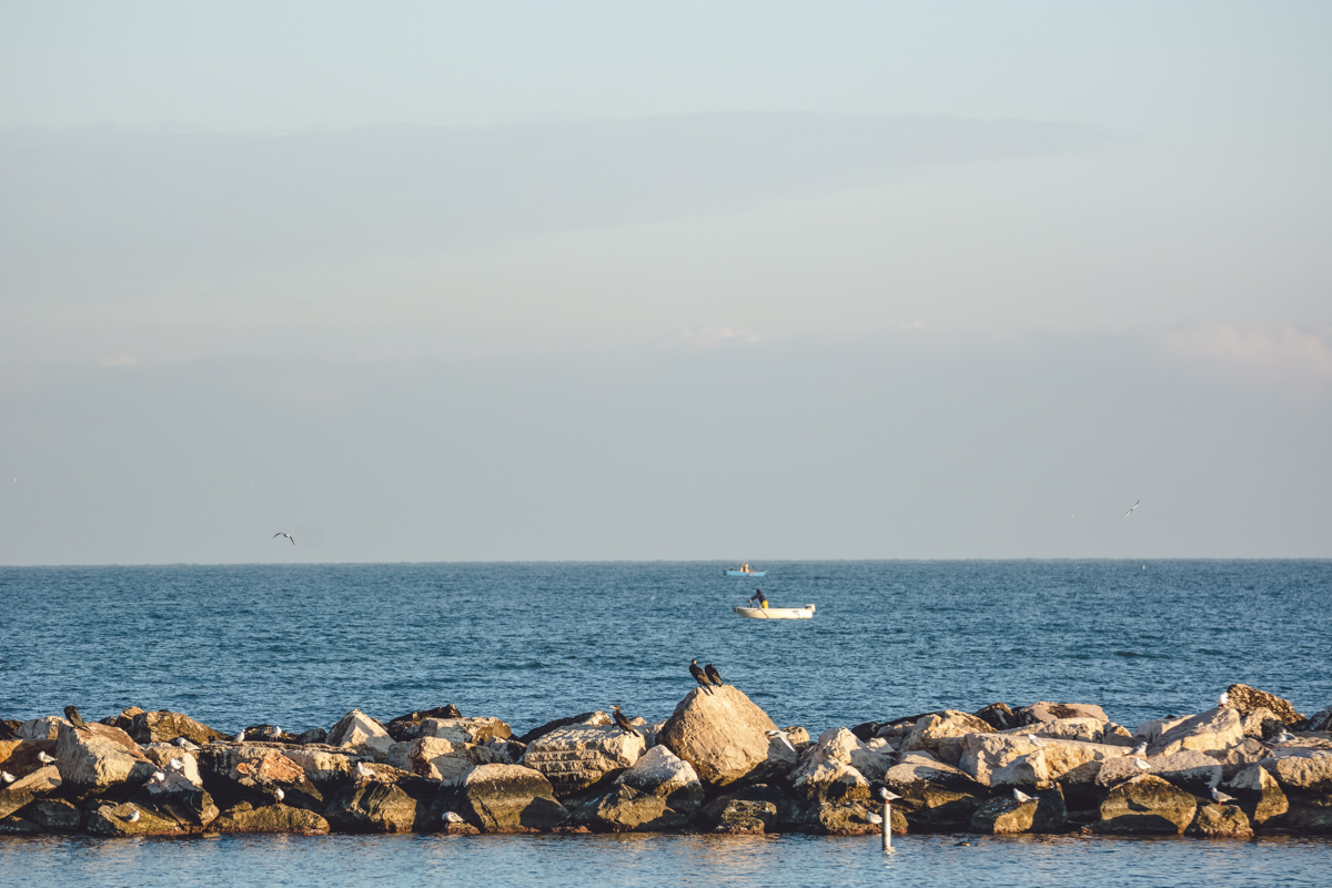 sea Ocean oceano mare landscapes vintage spiaggia paesaggio south Italy puglia bari blu urban landscapes