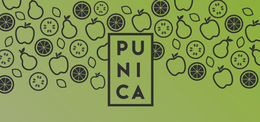 punica icons Illustrator juice photoshop colours Tastes