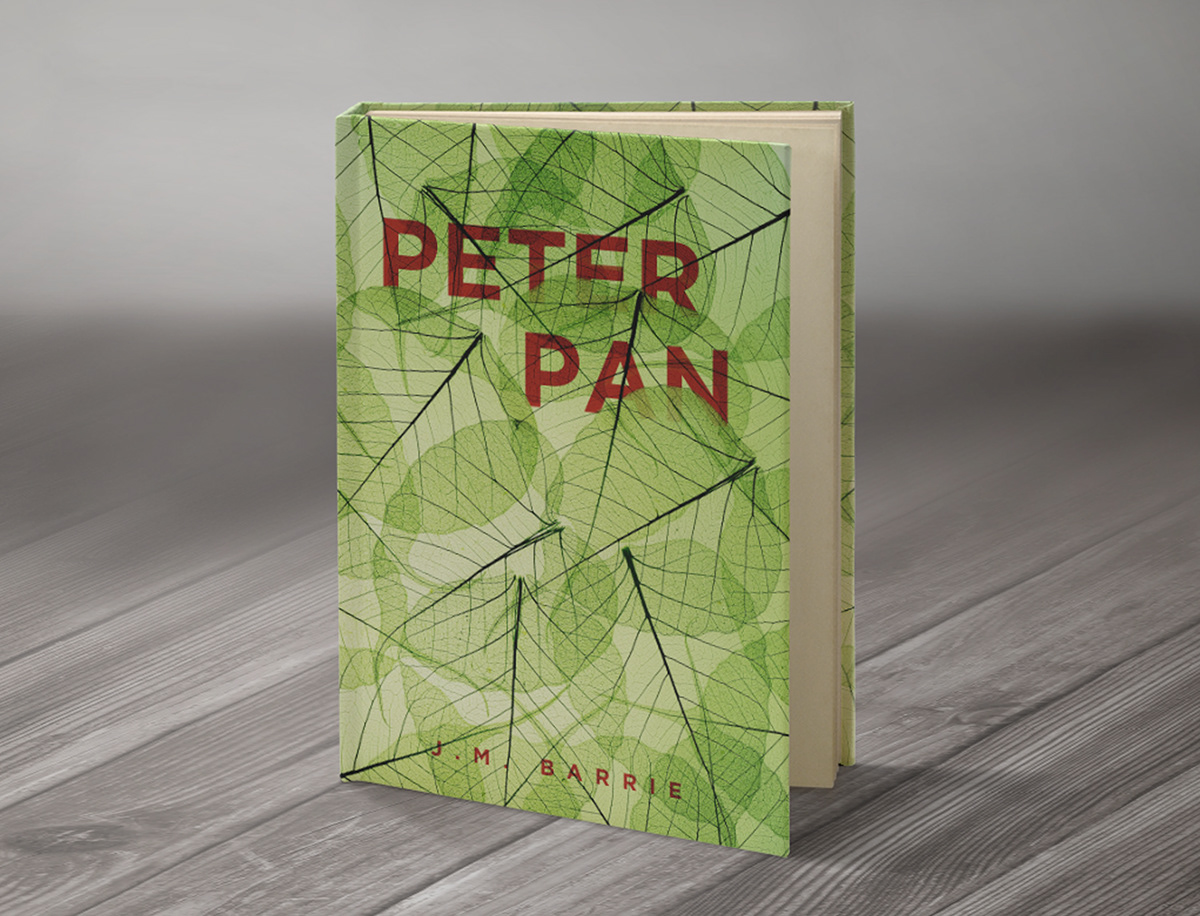 adobe illustrator Adobe Photoshop book book cover student peter pan wendy wendy darling