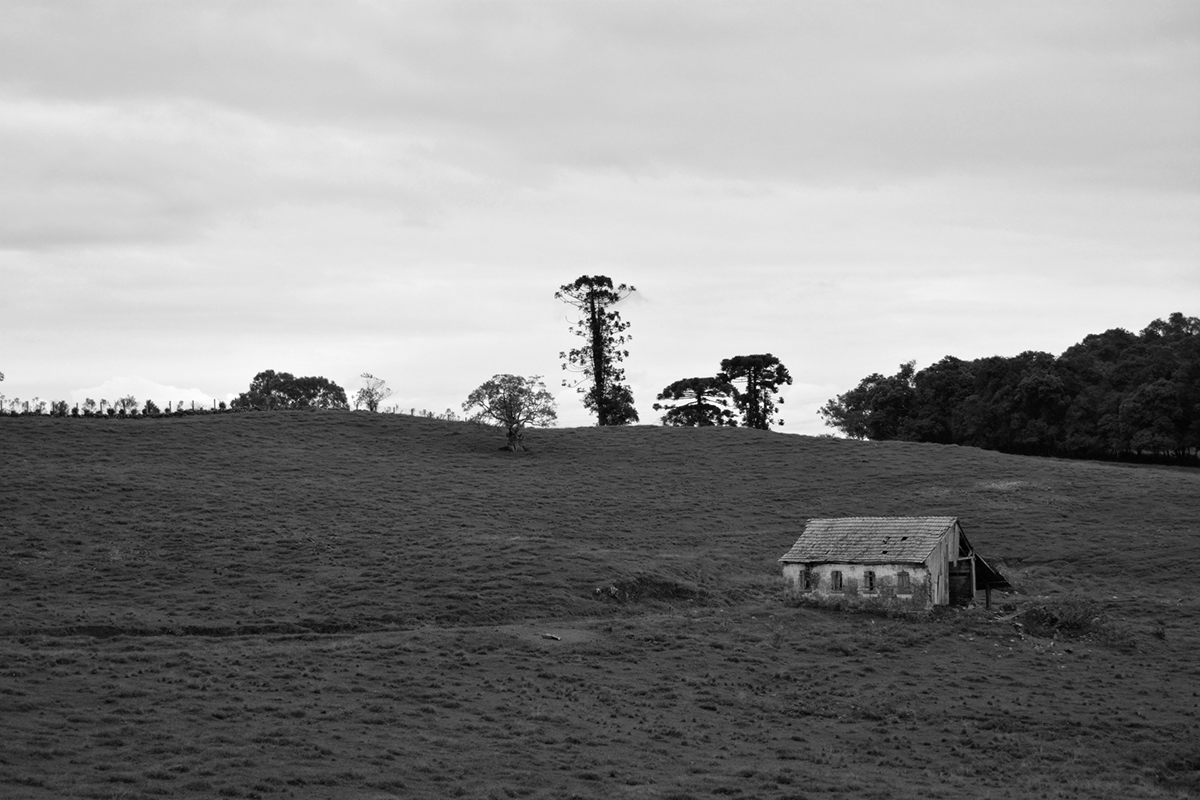 house Landscape photo