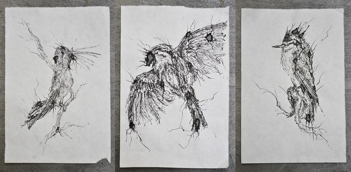 50 series birds nature lab victor lara Sara K Dunn Taxidermy Birds distortion ink drawing ink Hyper Detail