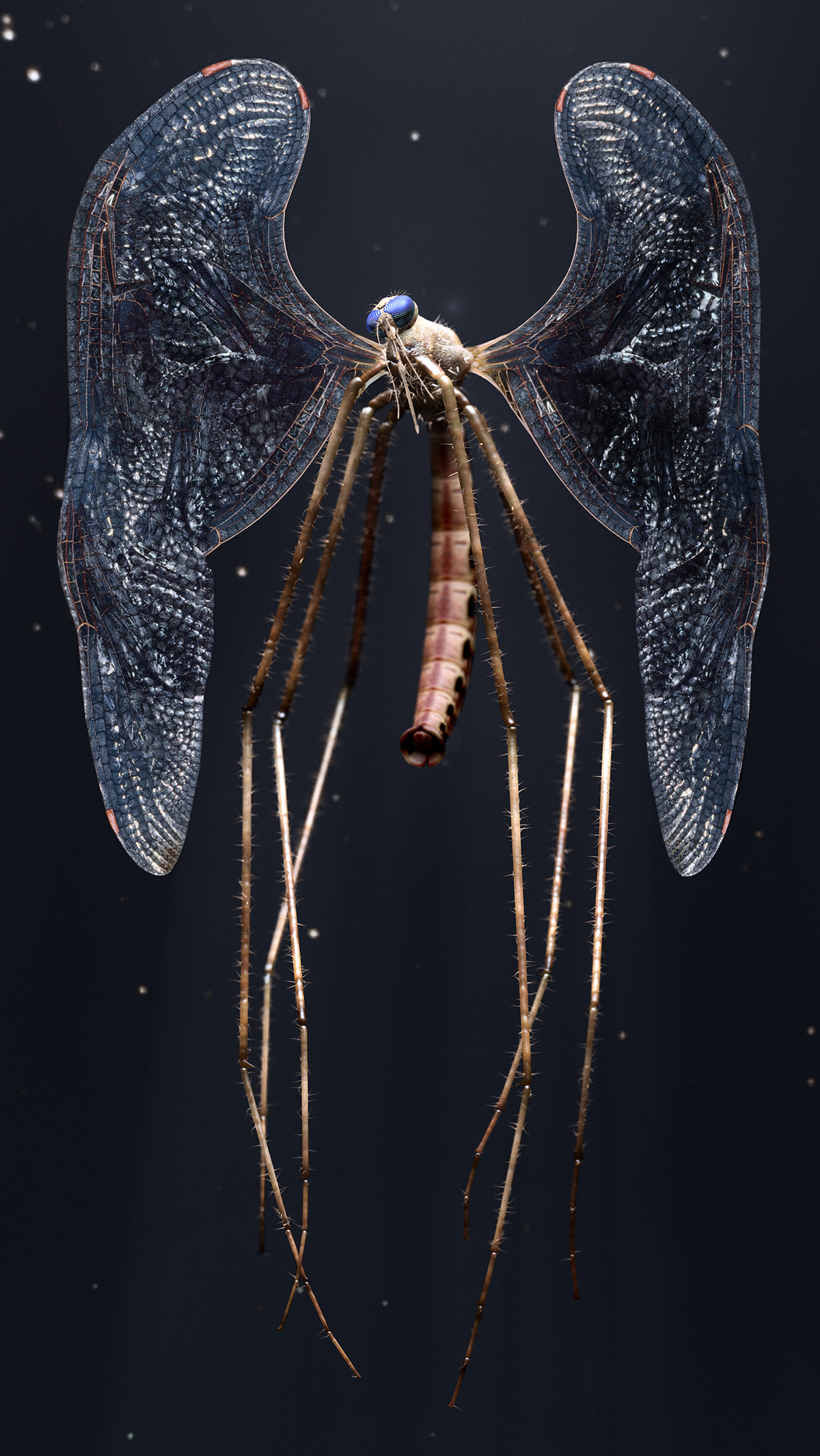 CGI 3D postproduction vapona mosquito heaven eric hijwege luminous creative imaging fedde souverein Martin van Zwol