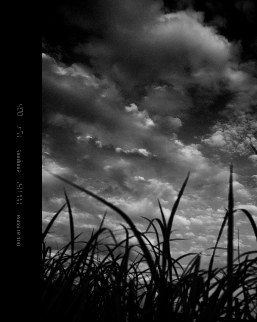 black and white Photography  Nature SKY