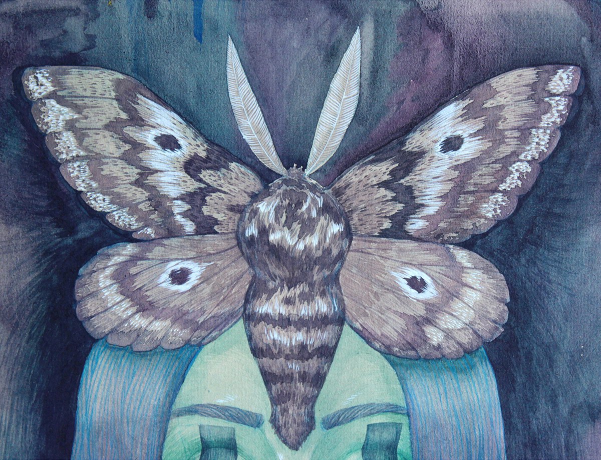 #moth #paper #Watercolor #Portrait #drawing
