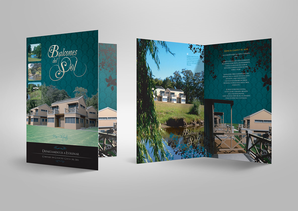 brochure flyer catalog design graphic