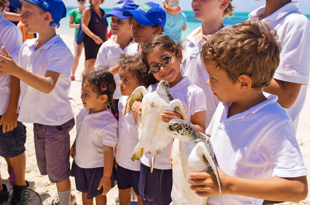 Ecology Nature conservation turks and caicos