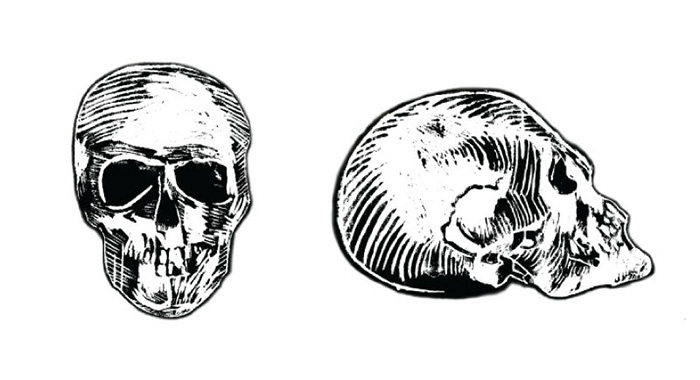 woodcut contemporary skull
