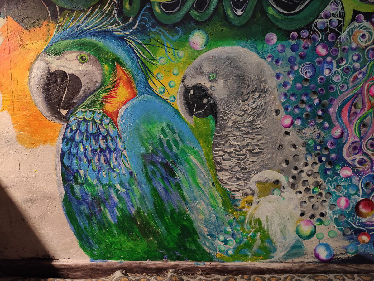acril Acrilpainting animal art birds colors акрил анималистика кисть попугаи роспись тропики флюорисцент