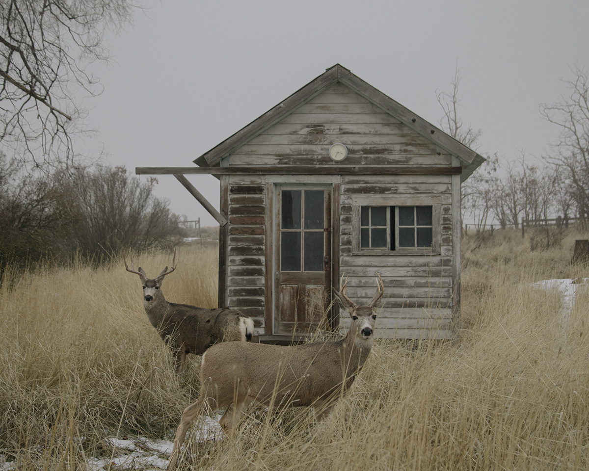 abandoned atmosphere grasslands haunted Landscape Nature Photography  rural Travel winter