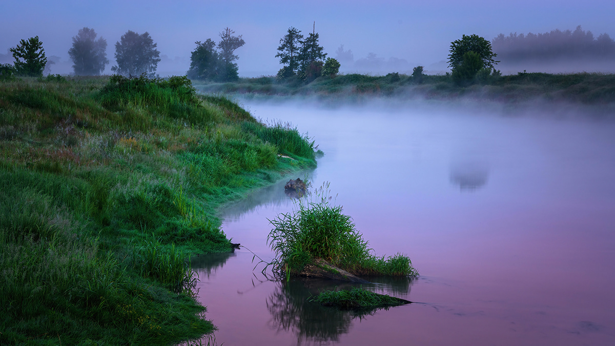 fog Landscape mist Nature river Sunrise warta water