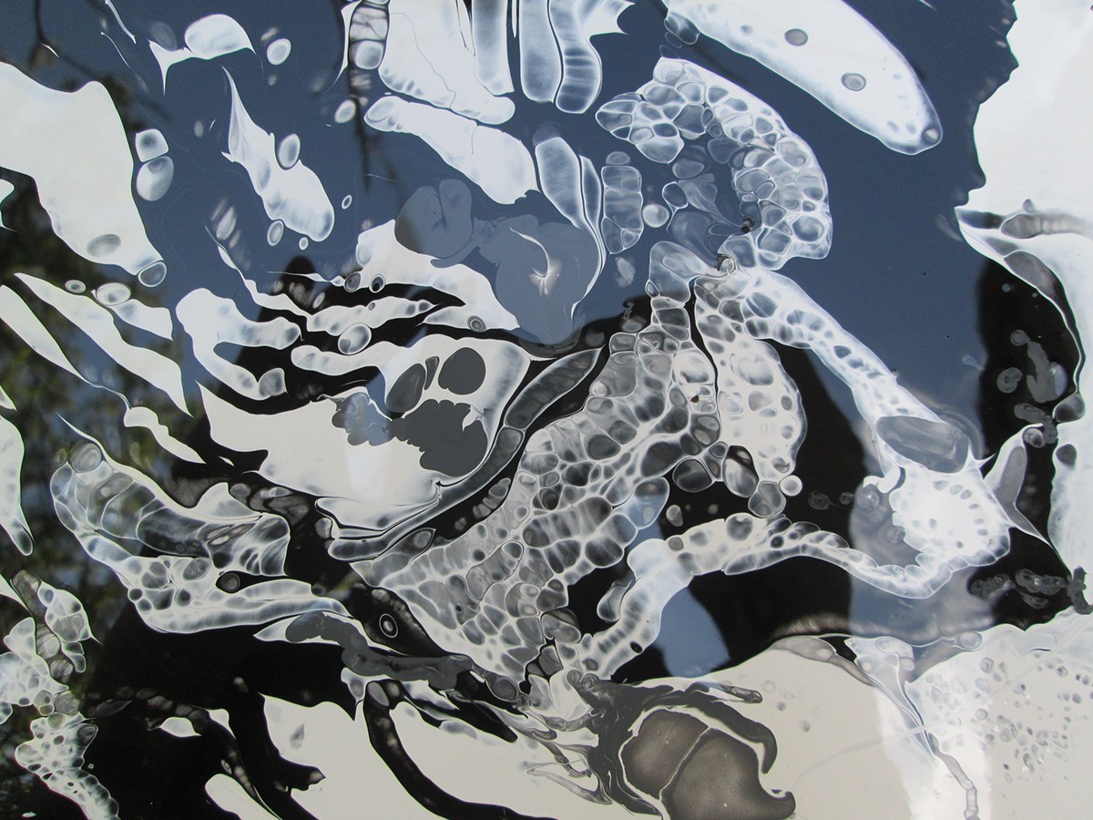 Fluid Painting art abstraction black and white paint
