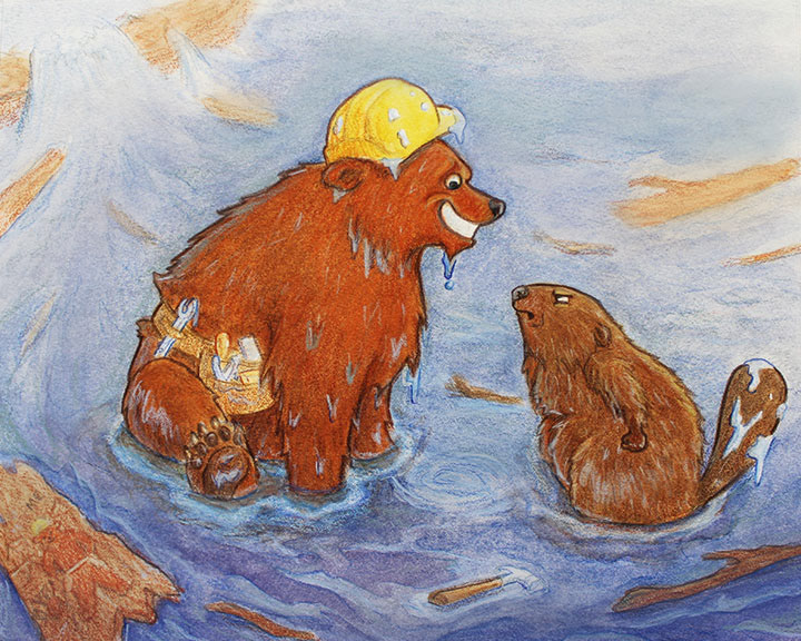 Picture book childrens illustration bear beaver Character design  concept kidlitart