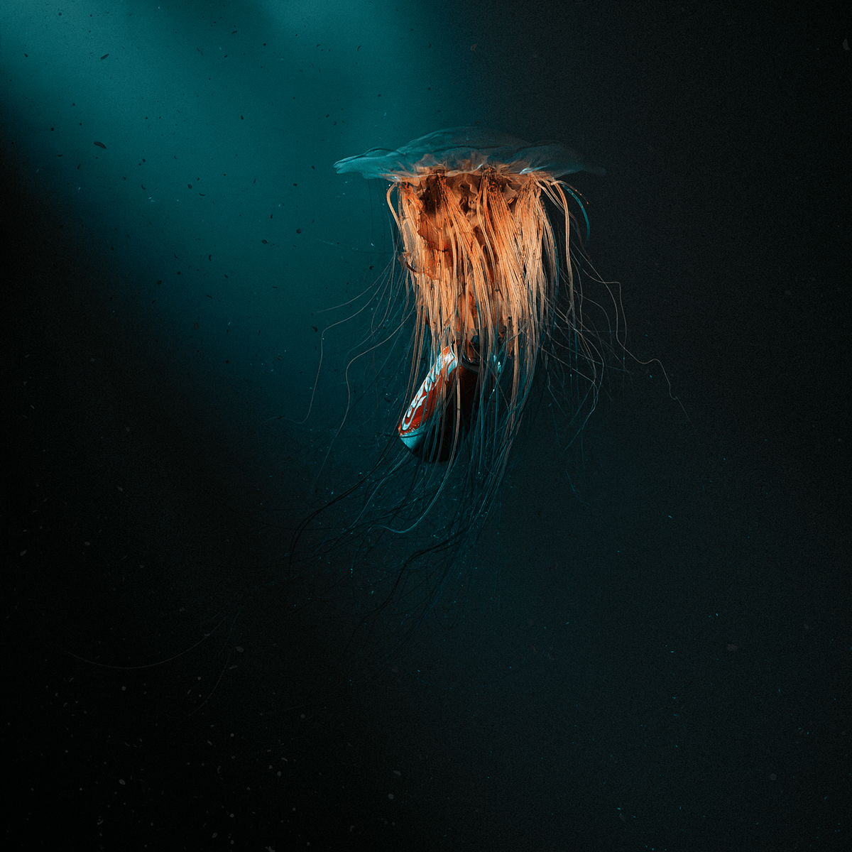 can Ecology garbage jellyfish Nature Ocean recyle